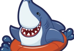 食品原料小百科：硫酸軟骨素可以用在什么地方？