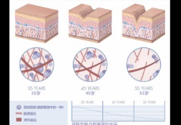 都在問的乙酰殼糖胺（NAG）功效怎么樣？功效成分的護(hù)膚品應(yīng)該怎么選？