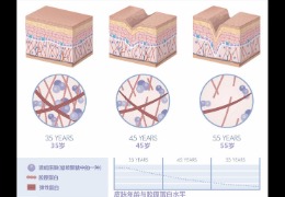 水潤皮膚的秘密武器，乙酰殼糖胺和透明質(zhì)酸的甜蜜聯(lián)盟！